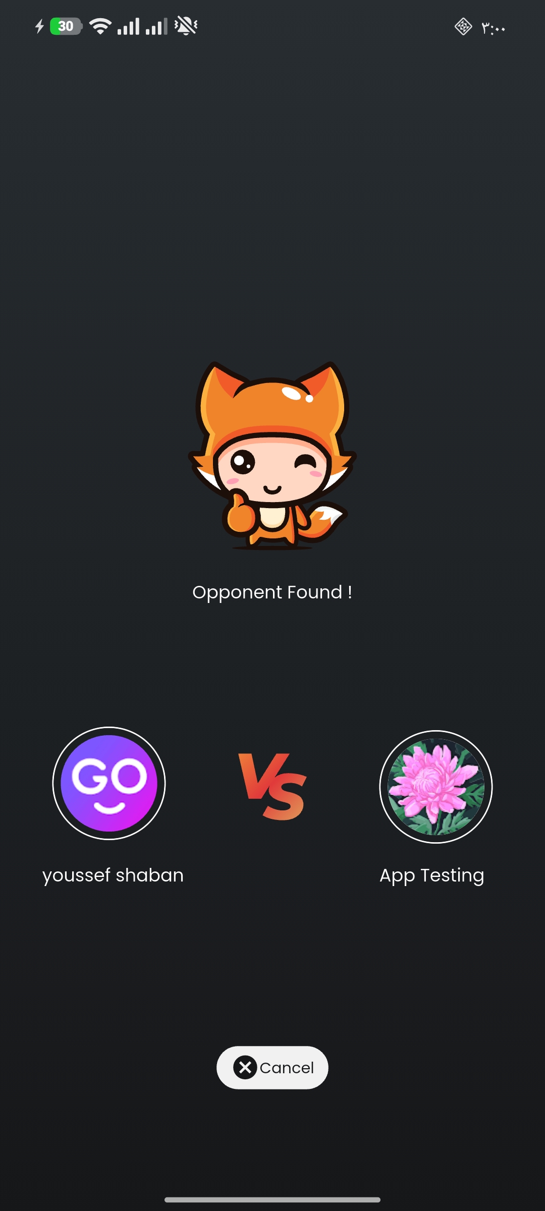 Opponent Found